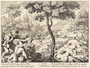 Caccia ai conigli da Wenceslaus Hollar